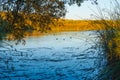 Calm peaceful lake sunset. Oso Flaco Lake Natural area, California. Wetland natural landscape Royalty Free Stock Photo