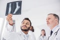 Calm physicians watching at shadow-photograph in hospital