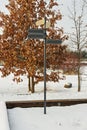 Snow-covered Park with Arrows on Metal Pole in Winter Wonderland