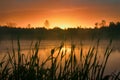 Calm, pleasant warm summer rain and mist over river Royalty Free Stock Photo