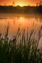 Calm, pleasant warm summer rain and mist over river Royalty Free Stock Photo