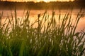 Calm, pleasant warm summer rain and mist over river Royalty Free Stock Photo