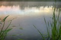 Calm, pleasant warm summer rain and mist over river Royalty Free Stock Photo