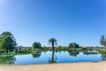 Calm pond on edge of Lake Wendouree