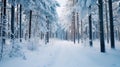 A calm and quiet landscape of a pristine snowy forest with bare branches and soft snow Royalty Free Stock Photo