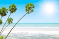 calm quiet summer sea beach wide ocean view with high palm trees tropical island blank space for advertising background