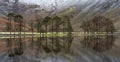 Calm Reflections Of Pine Trees At Buttermere In The Lake District, UK. Royalty Free Stock Photo