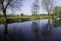 Tree reflections on Ripon Canal in spring.