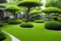 calm relax meditation spiritual zen garden lawn grass gardening nature buddhism buddhist illustration