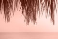 Calm relaxing travel background with trendy colors of 2024. Blowing dry palm tree of beach umbrella with sunrise sky and