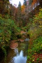 The calm river flows in a beautiful autumn forest