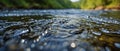 Close-Up View of a Flowing River
