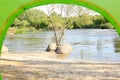 Calm river with on bank, view from camping tent