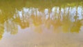 Calm river movement and reflection of trees in the water Royalty Free Stock Photo