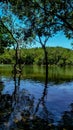 A calm river is not necessarily safe to dive into