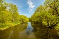 Calm river surrounded by fresh green trees n spring