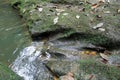 Calm river water with large mossy rocks