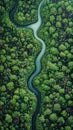 Calm river winding through a dense forest. Royalty Free Stock Photo