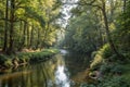 Calm river winding through a dense forest Royalty Free Stock Photo