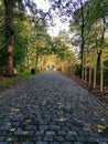 A calm road in a Paris park.