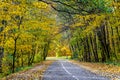 Calm road under colorful trees at autumn, Slovakia