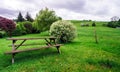Calm rural landscape