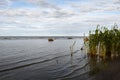 Calm sea in the evening soft sunlight under a cloudy sky Royalty Free Stock Photo