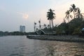 Calm sea natural beauty coconut tree shore evening sunset time