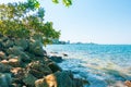 Calm Sea Ocean with tree And rocks Royalty Free Stock Photo