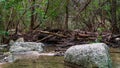Calm section of river with rocks in water and on banks, in forest woods