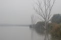 A calm and serene November morning over the pond, a misty rural landscape of autumn at dawn, the sky and the silhouettes of bare t Royalty Free Stock Photo