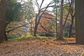 Calm serenity blissful foliage scene of empty park in late Autumn morning in Tokyo Japan