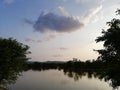 Calm serenity at lake in African bushveld Royalty Free Stock Photo
