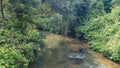 A calm shallow river winds through the thickets of a tropical rain forest. Royalty Free Stock Photo