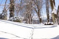 A calm snowy winter morning landscape with a colorful background, snow covered trees and a road heading down a hill Royalty Free Stock Photo