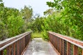 path in the swamp at sunrise during storm Royalty Free Stock Photo
