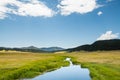 A calm stream reflects a beautiful blue sky as it curves through lush green meadows in the mountains of northern New Mexico