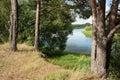 calm summer landscape on the banks