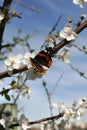 A calm sunny spring day