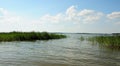 The calm surface of a large lake and thickets of reeds form an outlet to the water