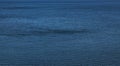 Calm texture of blue seawater Royalty Free Stock Photo