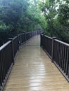 Board walk across the trees