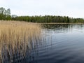 Calm water, beautiful reflections, forest silhouette on the horizon