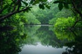A calm water body framed by green landscape, lake in the spring forest, wallpaper background Royalty Free Stock Photo
