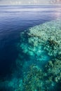 Calm Water and Coral Reef Dropoff Royalty Free Stock Photo