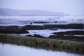 Calm Water In A Manmade Tide Pool With Rocks And Waves Defocused Background