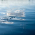 Calm water surface with gentle ripples and reflections of a partly cloudy sky. The blue water has a Royalty Free Stock Photo