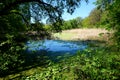 Calm water surface of a swampy lake or pond in the forest Royalty Free Stock Photo