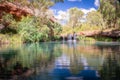 Clear reflection in front of a idyllic waterfall