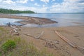 Calm Waters and Driftwood on a Sandy Shore Royalty Free Stock Photo